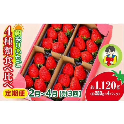 ふるさと納税 いちご 群馬県 前橋市 いちご 4種類食べ比べ 約280g×4パック 1120g 計3回 定期便2月〜4月 2027年 先行予約 | イチゴ 苺 高品質 たっぷり 新鮮 …