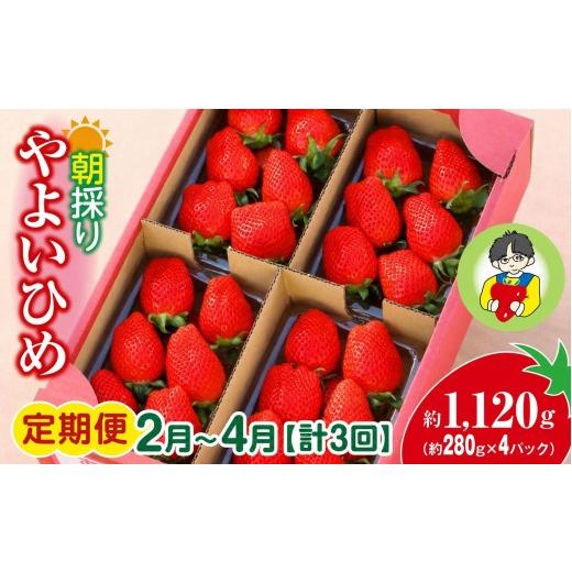 ふるさと納税 いちご 群馬県 前橋市 いちご やよいひめ 280g × 4パック 1120g 計3回 定期便2月〜4月 2027年 先行予約 | コク 甘み 朝採れ イチゴ 苺 高品質 …