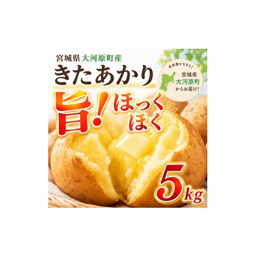 ふるさと納税 野菜類 じゃがいも 宮城県 大河原町 じゃがいも きたあかり 5kg 産地直送 農家直送 野菜 キタアカリ 甘い ホクホク ポテトサラダ コロッケ じゃ…