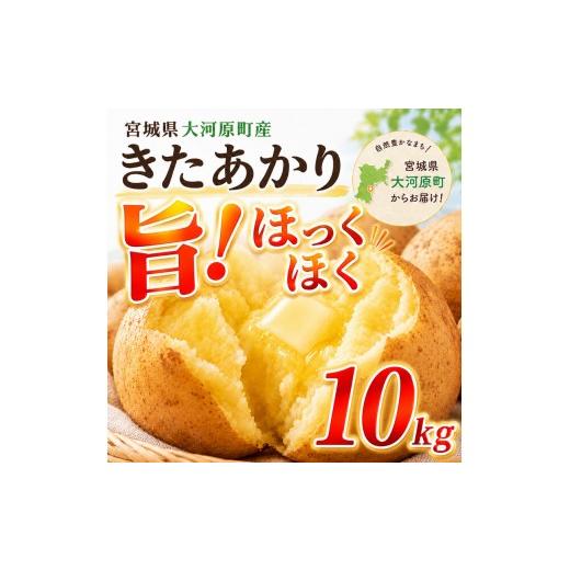 ふるさと納税 野菜類 じゃがいも 宮城県 大河原町 じゃがいも きたあかり 10kg 産地直送 農家直送 野菜 キタアカリ 甘い ホクホク ポテトサラダ コロッケ じゃ…