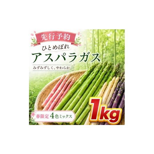 ふるさと納税 野菜類 アスパラガス 宮城県 大河原町 先行予約 春限定 ひとめぼれアスパラガス 1kg 4色 食べ比べ 産地直送 農家直送 野菜 新鮮 旬 アスパラ 春…