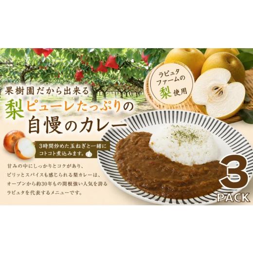 ふるさと納税 惣菜・レトルト 冷凍 福岡県 川崎町 梨ピューレたっぷり ラピュタファーム 特製 梨カレー3個セット カレー レトルト 簡単調理 冷凍 本格 湯煎 防…
