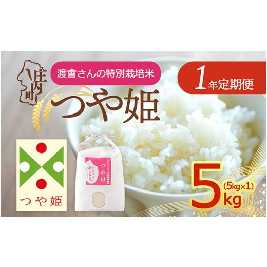 ふるさと納税 米 つや姫 山形県 庄内町 定期便 令和8年産 つや姫 5kg×1年間 特別栽培米 毎月お届け 山形県庄内町産 庄内米 ブランド米 米 お米の定期便 ごは…
