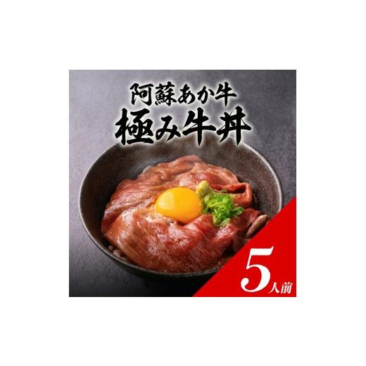 ふるさと納税 牛肉 セット 熊本県 阿蘇市 選べる内容量 極みあか牛丼 5人前 贈答用(木箱入り) 特製タレ付き 牛肉 あか牛丼 肉 簡単 冷凍 赤牛 あかうし く…