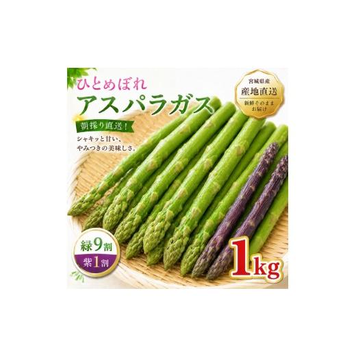 ふるさと納税 野菜類 アスパラガス 宮城県 大河原町 夏限定 ひとめぼれアスパラガス 1kg グリーン パープル ミックス 産地直送 農家直送 夏野菜 朝採れ 新鮮 …