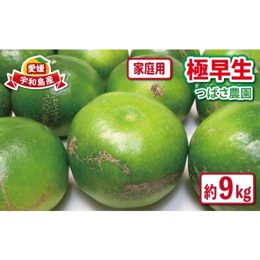 ふるさと納税 果物類 みかん 愛媛県 宇和島市 家庭用 極早生 みかん 9kg つばさ農園 温州みかん 温州 極早生みかん 早みかん 緑みかん 吉田みかん 愛媛みかん …