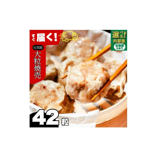 ふるさと納税 加工品等 千葉県 多古町 千葉県産三元豚 元気豚 大粒肉焼売(シューマイ)セット 2.1kg(50g×42個)_ 送料無料 mt203971_0642001 1回 11,…