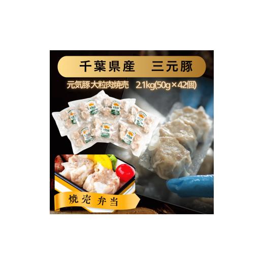 ふるさと納税 加工品等 千葉県 多古町 毎月定期便 元気豚 大粒肉焼売セット 42個セット(計2.1kg)全9回