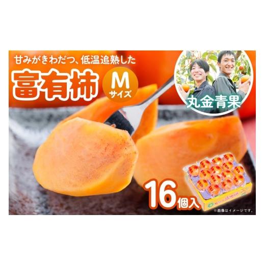 ふるさと納税 果物類 柿 岐阜県 本巣市 先行予約 令和8年産 丸金青果 富有柿 Mサイズ(16個入) 低温追熟 甘みがきわだつ 低温追熟した富有柿をお届け 12月下旬…