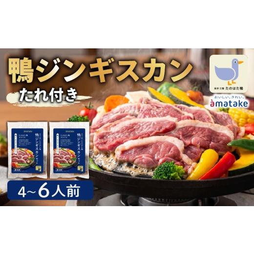 ふるさと納税 鴨肉 岩手県 大船渡市 たのはた鴨 ジンギスカン 520g(あい鴨200g×2P、たれ30g×4P) 鴨 冷凍 小分け 個包装 簡単 簡単調理 おかず 真空 あい鴨 …