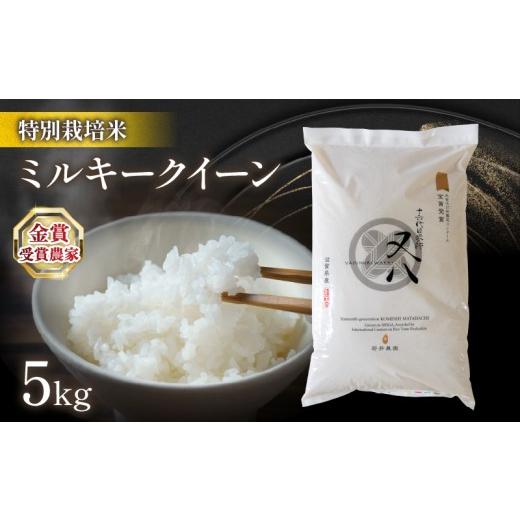 ふるさと納税 米 ミルキークイーン 滋賀県 竜王町 1〜2週間以内に発送 令和8年米 ミルキークイーン 5kg ビニール包装 ( 令和8年産 金賞受賞農家 2026年産 ブ…