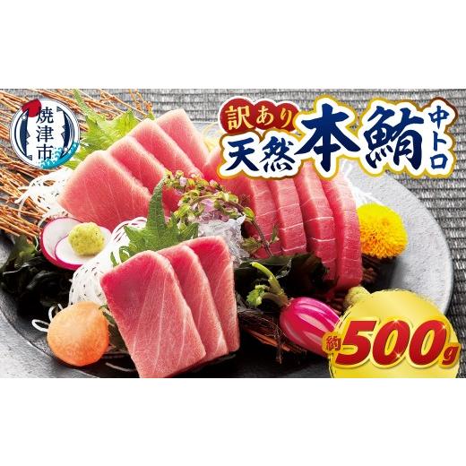 ふるさと納税 マグロ 静岡県 焼津市 a14-150 訳あり 本マグロ 天然 中トロ 500g