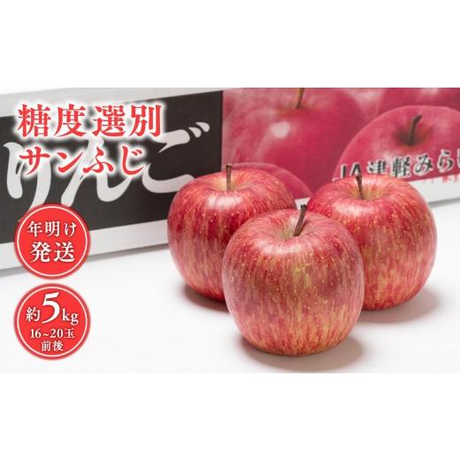 ふるさと納税 りんご 青森県 平川市 年明け 糖度選別サンふじ約5kg 青森県 平川市 JA津軽みらい 1月・2月 年明け発送 青森 青森県産 平川 りんご リンゴ 林檎 …