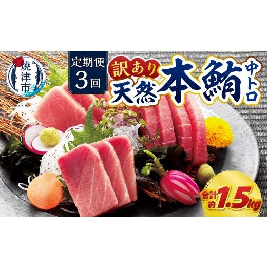 ふるさと納税 マグロ 静岡県 焼津市 a42-018 訳あり 本マグロ 天然 中トロ 500g 定期便3回