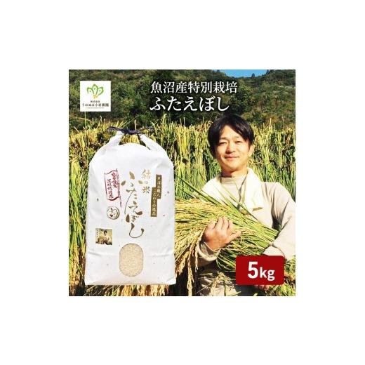 ふるさと納税 米 新潟県 魚沼市 令和8年産 先行予約 魚沼産特別栽培ふたえぼし 精米5kg 米 こめ お米 コメ ふたえぼし 新潟県 魚沼市 魚沼 特別栽培米