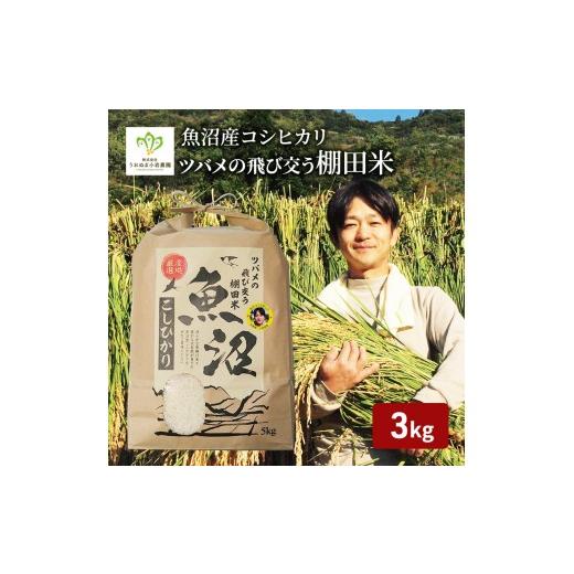 ふるさと納税 米 コシヒカリ 新潟県 魚沼市 令和8年産 先行予約 ツバメの飛び交う棚田米 精米3kg お米 白米 ライス ご飯 ブランド米 銘柄米 コシヒカリ 魚沼産…