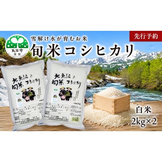 ふるさと納税 米 コシヒカリ 新潟県 魚沼市 先行予約 令和8年産 魚沼の旬米 コシヒカリ 精米 2kg×2 お米