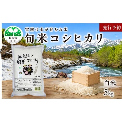 ふるさと納税 米 コシヒカリ 新潟県 魚沼市 先行予約 令和8年産 魚沼産 コシヒカリ 魚沼の旬米コシヒカリ 精米 5kg お米
