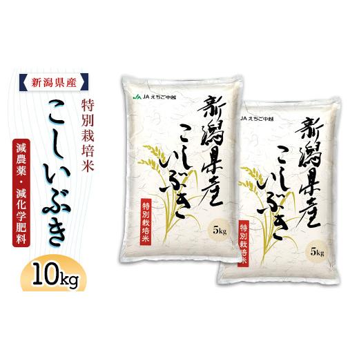 ふるさと納税 米 新潟県 長岡市 75-8K101新潟県長岡産特別栽培米こしいぶき10kg(5kg×2袋) 2026年10月発送 発送時期:2026年10月 寄附額:20000円