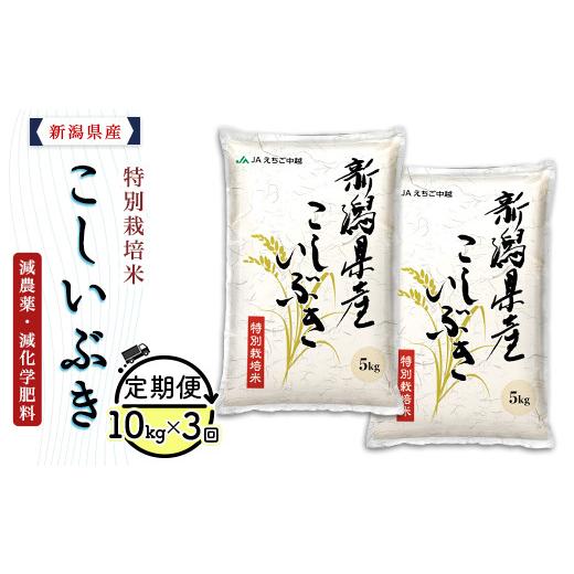 ふるさと納税 米 新潟県 長岡市 75-8K103 3ヶ月連続お届け 新潟県長岡産特別栽培米こしいぶき10kg(5kg×2袋) 2026年10月発送開始 発送開始時期:2026年10月…