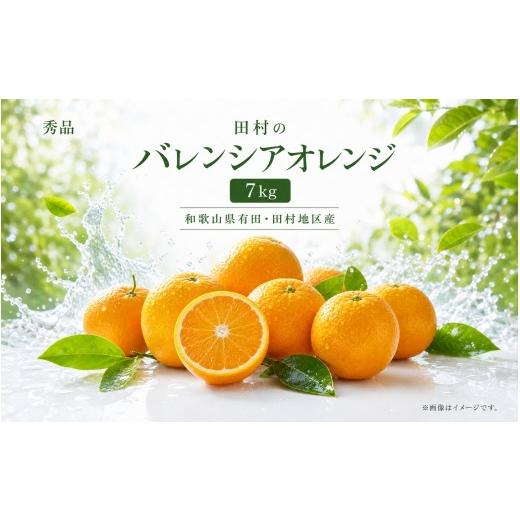 ふるさと納税 果物類 みかん 和歌山県 すさみ町 秀品 田村のバレンシアオレンジ 約7kg 2027年6月下旬頃〜7月上旬頃順次発送予定 / みかん くだもの フルー…