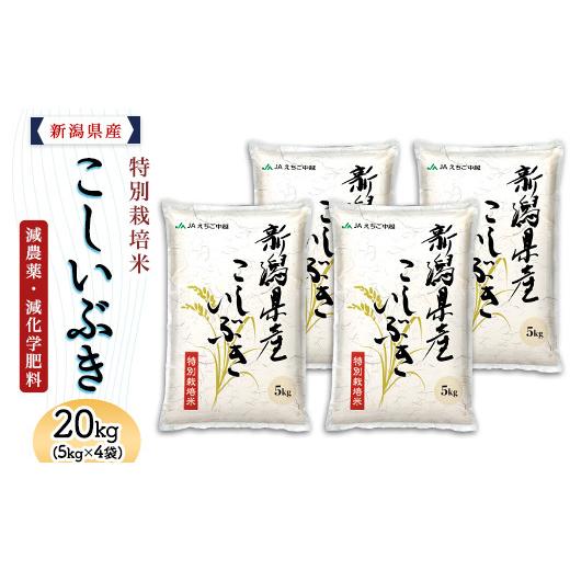 ふるさと納税 米 新潟県 長岡市 75-8K201新潟県長岡産特別栽培米こしいぶき20kg(5kg×4袋) 2026年10月発送 発送時期:2026年10月 寄附額:40000円