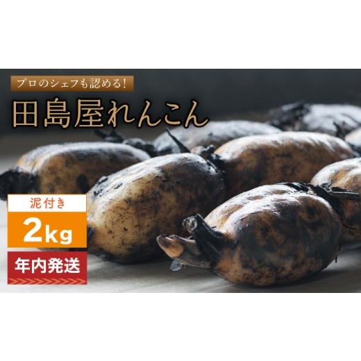 ふるさと納税 人参・大根・他根菜 佐賀県 白石町 年内発送 れんこん2kg(泥付き)