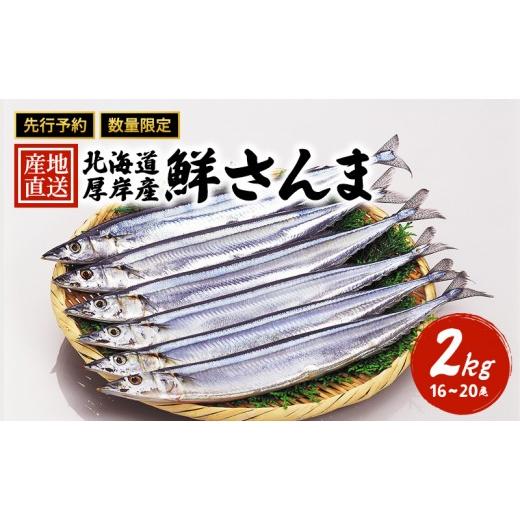 ふるさと納税 魚貝類 さんま 北海道 厚岸町 先行予約 産地直送 北海道 厚岸産 刺身用 鮮さんま 2kg(16〜20尾) サンマ 秋刀魚 さんま 鮮魚 魚介類 海産 生さ…