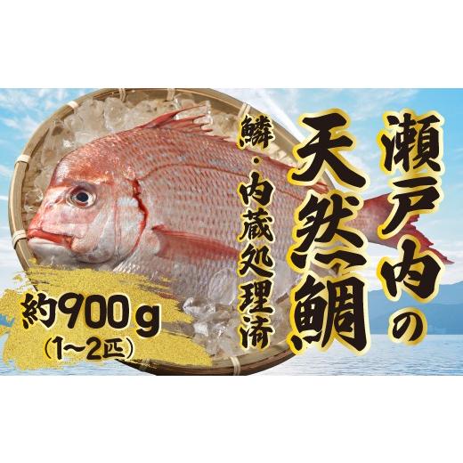 ふるさと納税 鯛・金目鯛・のどぐろ 広島県 三原市 道の駅 天然鯛 約900g〜1kg(1匹〜2匹) 鱗・内臓処理済 新鮮 国産 季節 地魚 天然 鮮魚 下処理 タイ たい 瀬…