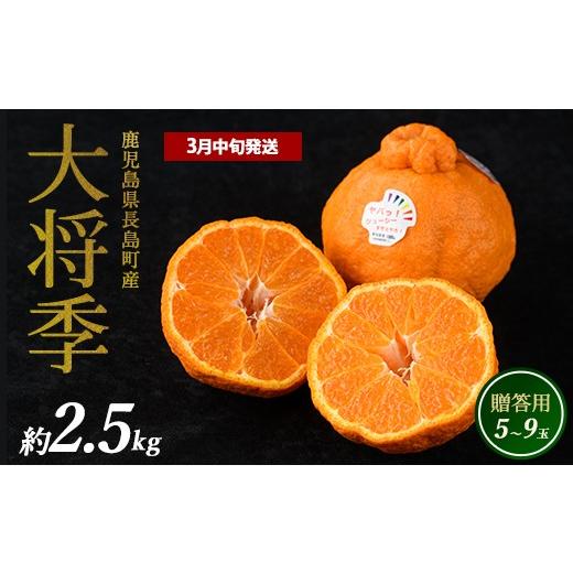 ふるさと納税 果物類 みかん 鹿児島県 長島町 長島町産 大将季(ハウス) 贈答用 (約2.5kg) 3月中旬発送 長島柑橘直販合同会社 kanchoku-1659