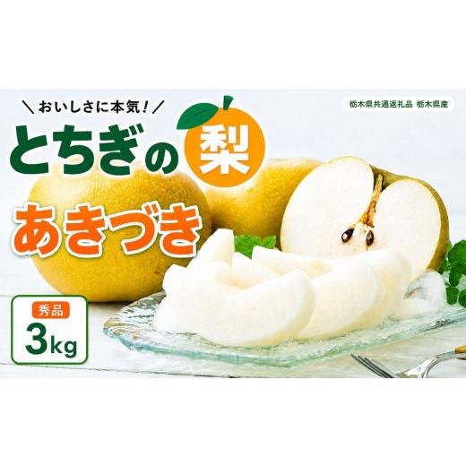 ふるさと納税 梨 栃木県 矢板市 梨 秋月 あきづき 秀品 3kg | 2026年9月発送 先行予約 栃木県共通返礼品 栃木県産 矢板市