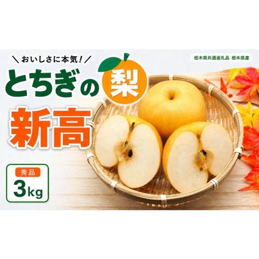 ふるさと納税 梨 栃木県 矢板市 梨 新高 にいたか 秀品 3kg | 2026年9月〜10月発送 先行予約 栃木県共通返礼品 栃木県産 矢板市