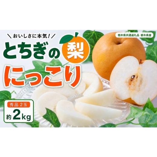 ふるさと納税 梨 栃木県 矢板市 梨 にっこり 大玉 2玉 秀品 2kg | 2026年10月〜11月発送 先行予約 栃木県共通返礼品 栃木県産 矢板市