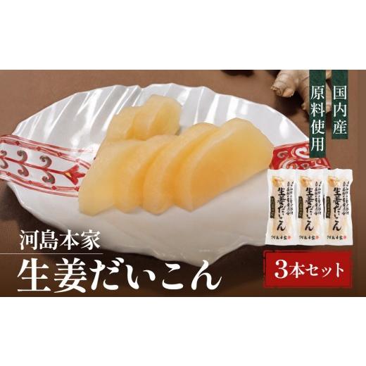 ふるさと納税 加工品等 漬物 和歌山県 和歌山市 国内産 原料使用 生姜だいこん 3本 セット 河島本家 生姜だいこん 3本セット 5,000円