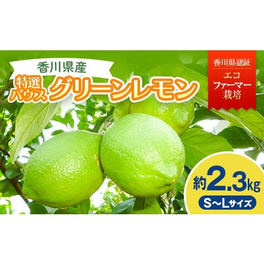 ふるさと納税 みかん・柑橘類 レモン 香川県 宇多津町 2026年 先行予約 特選ハウスグリーンレモン 約2.3kg 香川県認証エコファーマー栽培 果物類 柑橘類 檸檬…