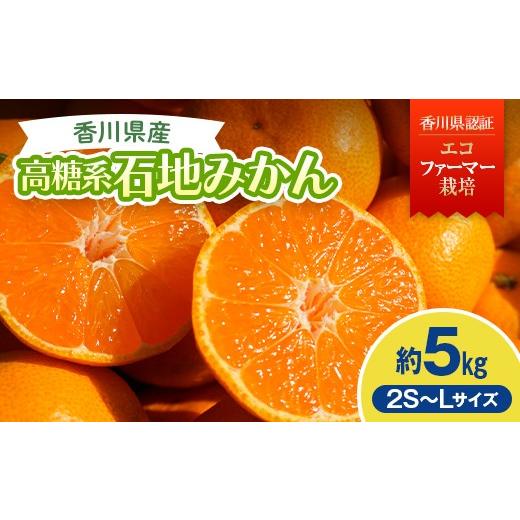 ふるさと納税 果物類 みかん 香川県 宇多津町 2026年冬よりお届け 高糖系石地みかん 約5kg 果物類 柑橘類 フルーツ ギフト ジュース 果肉 みかん果汁 甘い 5…
