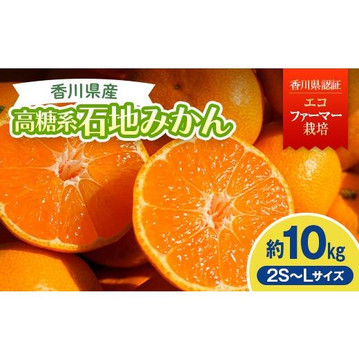 ふるさと納税 果物類 みかん 香川県 宇多津町 2026年冬よりお届け 高糖度系石地みかん 約10kg 果物類 柑橘類 フルーツ ギフト ジュース 果肉 みかん果汁 甘い …