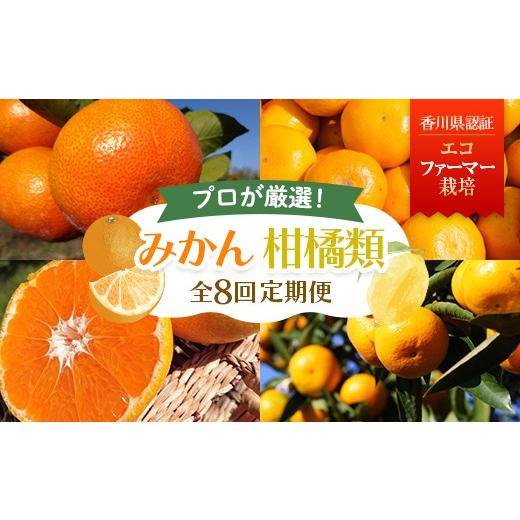 ふるさと納税 果物類 みかん 香川県 宇多津町 8回 頒布会 みかん 柑橘類 定期便 彩り柑橘 8回[10月温州みかん(極早生)からスタート]フルーツ フジカワ果…