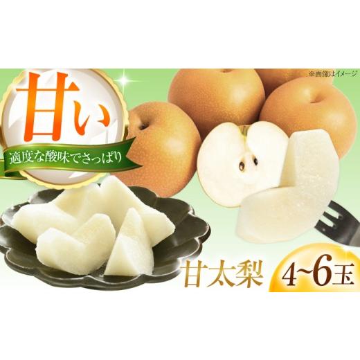 ふるさと納税 梨 愛媛県 内子町 稲田ペアファームの甘太梨 (かんたなし) 4〜6玉 [2026年9月〜発送] / フルーツ 果物 くだもの 食品 人気 おすすめ 梨 な…
