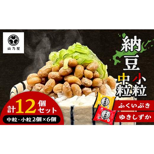 ふるさと納税 加工品等 納豆 福島県 川俣町 山乃屋の山木屋 中粒 小粒 納豆 各種6個 納豆 大豆 健康 発酵食品 ギフト おすすめ 川俣町 福島県