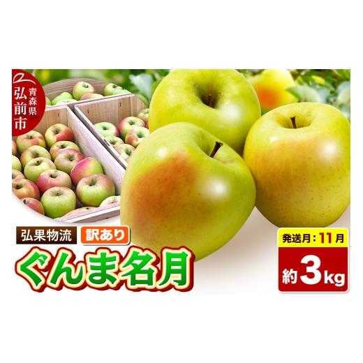 ふるさと納税 りんご 青森県 弘前市 26年11月発送 りんご ぐんま名月 訳あり 約3kg 先行受付 家庭用 青森県 弘前市 果物 フルーツ 林檎 リンゴ くだもの 不揃…