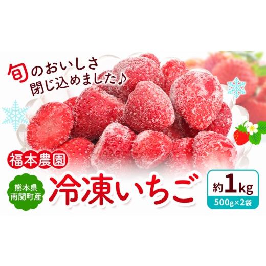 ふるさと納税 いちご 熊本県 南関町 冷凍いちご ゆうべに 1kg 福本農園[60日以内出荷予定(土日祝除く)]熊本県 南関町 苺 イチゴ 冷凍 果物 フルーツ 国産 熊…
