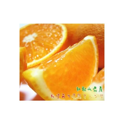 ふるさと納税 みかん・柑橘類 オレンジ 和歌山県 印南町 有田育ちの 完熟 清見 オレンジ(ご家庭用)約1.5kg[先行予約][MS166]