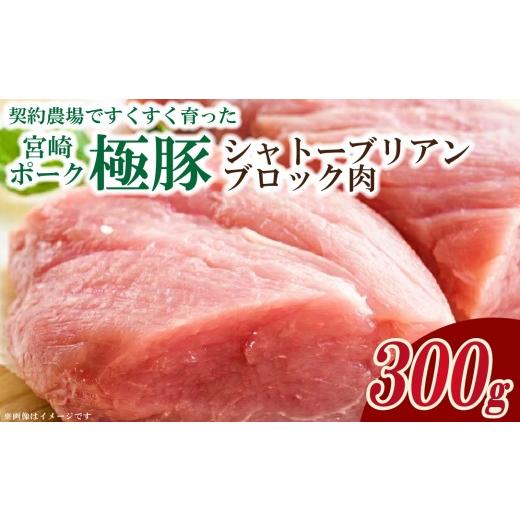 ふるさと納税 豚肉 ロース 宮崎県 小林市 産地直送 契約農場ですくすく育った宮崎ポーク極豚シャトーブリアンブロック肉 300g