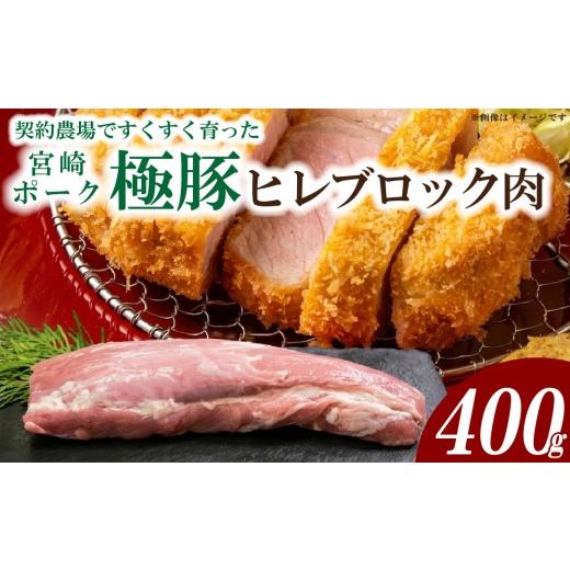ふるさと納税 豚肉 ヒレ 宮崎県 小林市 産地直送 契約農場ですくすく育った宮崎ポーク極豚ヒレブロック 400g