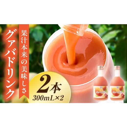 ふるさと納税 果汁飲料 マンゴー 宮崎県 串間市 驚きの果実感 ハーフボトル グァバドリンク2本セット (300ml×2本) 桃のようなまろやかで優しい味わい グァバ …