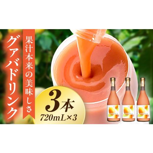 ふるさと納税 果汁飲料 宮崎県 串間市 驚きの果実感 グァバドリンク 3本セット(720ml×3本) グァバ グァバドリンク ドリンク フルーツドリンク 果汁入り飲料 …