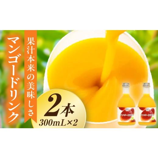 ふるさと納税 果汁飲料 マンゴー 宮崎県 串間市 あふれる果実感 ハーフボトル マンゴードリンク 2本セット(300ml×2本) ドリンク フルーツドリンク 果汁入り飲…