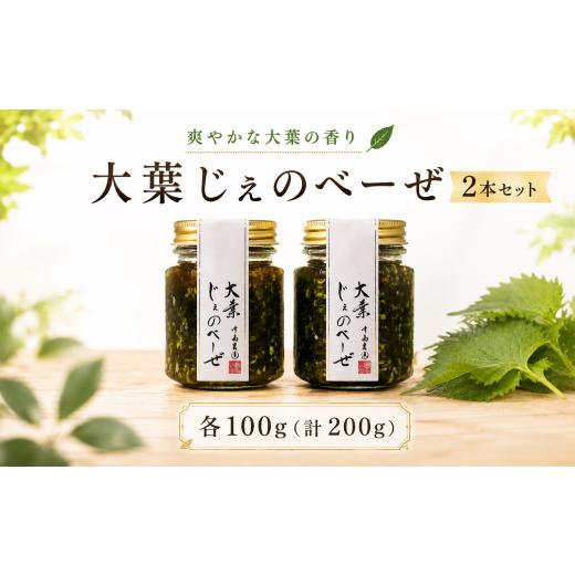 ふるさと納税 調味料・油 たれ 茨城県 鉾田市 大葉じぇのべーぜ 2本 セット 大葉 おおば しそ シソ ジェノベーゼ ソース 調味料 ジェノベーゼソース パスタ 料…