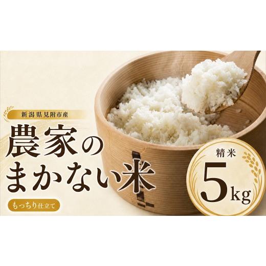 ふるさと納税 米 新潟県 見附市 令和8年産 新潟県産 農家のまかない米 もっちり仕立て 精米 5kg 米 お米 白米 おすすめ 人気 こめ コメ 新潟 見附 見附市 8年 …